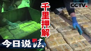 《今日说法》云南查获超高纯度海洛因！警方首度公开现场验查毒品视频 20210626 | CCTV今日说法频道