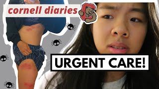 Day in the life of a Cornell PhD student: Going to urgent care (BITES EVERYWHERE!) | Cornell diaries