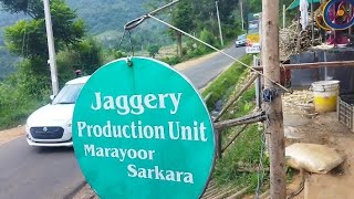 മറയൂർ ശർക്കര 💥Making of Marayoor Jaggery.