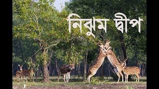 নিঝুম দ্বীপ