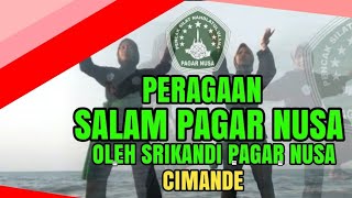 Peragaan salam PAGAR NUSA oleh srikandi PAGAR NUSA CIMANDE