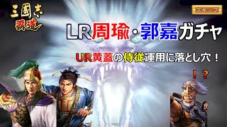 【三國志 覇道】LR周瑜・郭嘉ガチャ！UR黄蓋の落とし穴に注意！