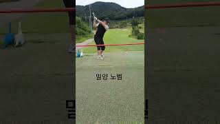 골프 초보 긴장되는 1번홀  드라이버 스윙 #주말 골프 #밀양 노벨