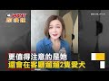 ctwant 娛樂新聞 關之琳分享居家生活　曬6億豪宅在客廳遛狗