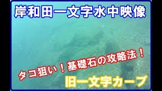 岸和田渡船　旧一文字カーブ水中映像