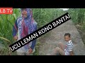 UCU LEMAN KONO BANTAI PART 1|| LAWAK BAGAN TELEVISI