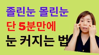 단 5분! 몰린눈 졸린눈 커지는법😑눈세로 확장 하기 눈가로로 커지는법 / 졸린눈 교정  및 눈크기 키우는법