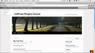 3 wordpress shortcode Shortcode attributes