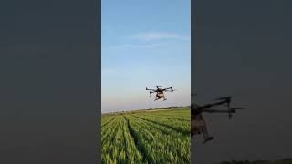 #drone #sprinkling #farmer #wheat #onion #tractor #water #pesticides #upload #reels #shorts #harvest