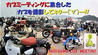 広島カブミーティングにお集まりの カブを見せていただいた【スーパーカブ】【カブ主総会】【広島カブミーティング】