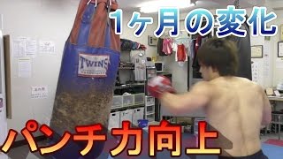 初心者が格闘技をガチで初めて１ヶ月たったパンチとキックの変化。