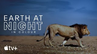 Earth At Night In Colour — Official Trailer | Apple TV+