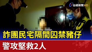 詐團民宅隔間囚禁豬仔 警攻堅救2人