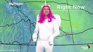 Halloween 2019: News anchors in tears as meteorologist shows up in mystical unicorn costume
