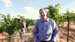 Fetzer Vineyards’ Road to Regeneration