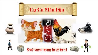 Cự Cơ Mão Dậu - ái ngộ song Hao - Chúng thủy triều Đông - Quý cách trong lá số tử vi.