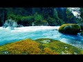 3 hour relaxing blue river rushing through beautiful forest with tranquil sound of water no music