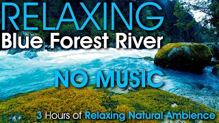 3 Hour Relaxing Blue River Rushing Through Beautiful Forest with Tranquil Sound of Water [No Music]