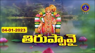 ధనుర్మాసోత్సవం || తిరుప్పావై || Dhanurmasotsavam || Tiruppavai || Tirumala || 04-01-2023 || SVBC TTD