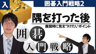 【囲碁入門】戦略編❷ ~隅を打った後の展開時に気をつけたいポイント~#12  #プロ棋士 #柳澤理志