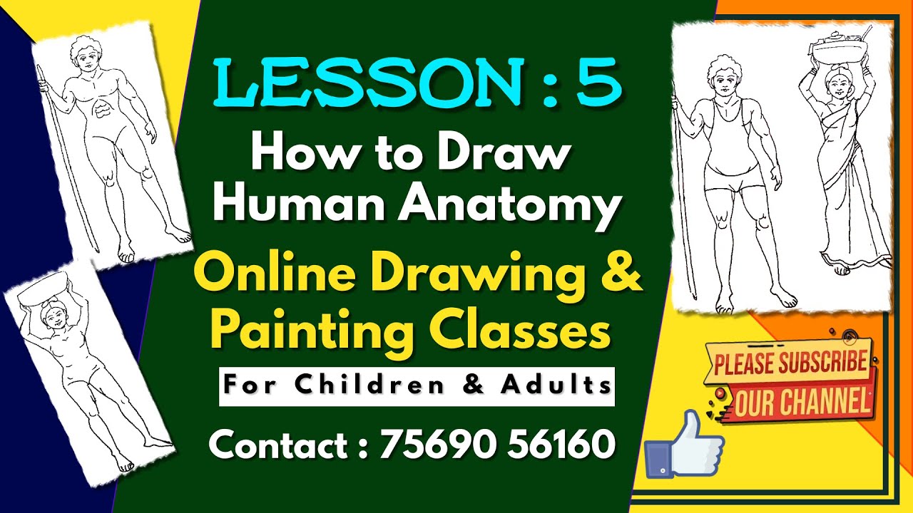 Lesson 5 How To Draw Human Anatomy Male And Female For Beginners