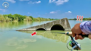 Taiwan! Super rare! Hidden ver. of black snapper in the stream! Going upstream to hunt for Snapper!