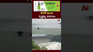 Nagarjuna Sagar: సాగర్‌ నుంచి కృష్ణమ్మ పరుగులు | NTV