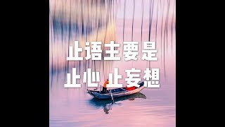 201711 止语主要是止心 止妄想22753