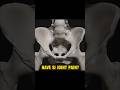 How To Fix SI Joint Pain!