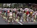 踊りの祭典第17回東京よさこい１茜丸