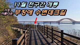 11월에 드디어 전구간이 개통된 무장애 수변데크길을 지나 바람누리길 걷기. 가장 아름다운 한강하구 수변데크길. 대중교통 타고 혼자 떠나는 당일치기 도보여행, 가을 트레킹