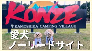 【愛犬とキャンプ】噂のかもしかグループについに行ってきた！🐶＠KONZEかもしかキャンピングヴィレッジ