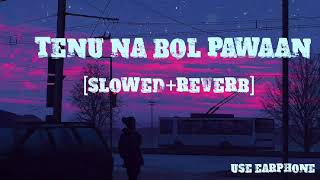 Tenu Na Bol Pawaan || slowed+reverb||behen hogi teri || #lofi #lofibeats