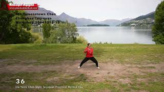 陈式太极拳实用拳法一路Chen Style Taijiquan Practical Method Yilu Liu Yuxin Queenstown New Zealand