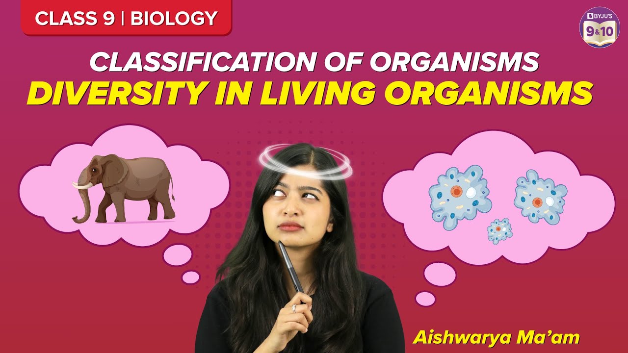 Diversity In Living Organisms Class 9 Science: Classification Of Living ...