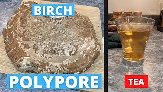 Birch Polypore Tea | Winter Foraging in the UK