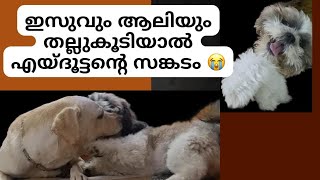 ഇസുവും ആലിയും തല്ലിപിരിഞ്ഞ വിഷമത്തിൽ എയ്‌ദൂട്ടൻ 😭😭😭