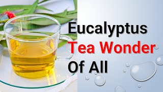 Eucalyptus Tea Wonder Of All