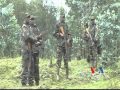 DRC Peace