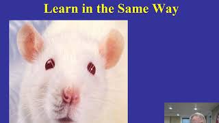 Distance 101 Lecture 13 B F Skinner and operant conditioning video