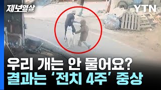 산책하다 갑자기 돌변…이래도 '우리 개는 안 문다'고요? [제보영상] / YTN