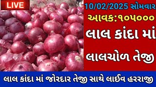 Aaj na bajar bhav mahuva onion rate 10/02/2025 ડુંગળી ના ભાવ|| ડુંગળી માં જોરદાર તેજી