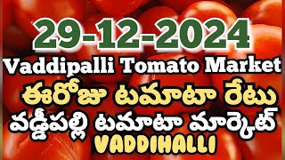 Vaddipalli Tomato Market🍅|ఈరోజుటమాటారేటు|#TodayTomatoRateInVaddipalli|29-12-2024|@ckgowthamvlogs