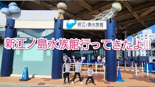 【新江ノ島水族館】イルカのショー🐬も新感覚の水槽も映画やドラマのワンシーンのあの場所も楽しんだ❤️