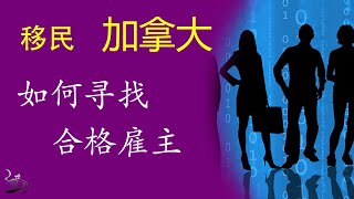 合格移民雇主为什么都在中介手里？该怎么找移民雇主【瘸猫说】