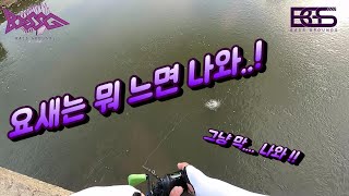 [배스그라운드] 타이니클래쉬 요샌 그냥 느면 그냥 막 나와.. 계속 !!