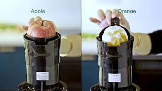 Masticating Juicer