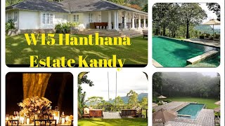 W15 Hanthana Estate Kandy