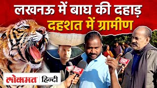 Lucknow me Bagh News: लखनऊ के रहमान खेड़ा जंगल में बाघ, दहशत में ग्रामीण|Tiger| UP - RJ