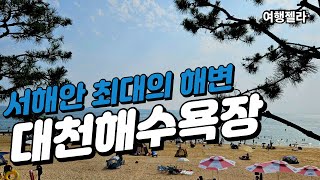 #보령여행#대천해수욕장#보령해저터널  /  대천해수욕장